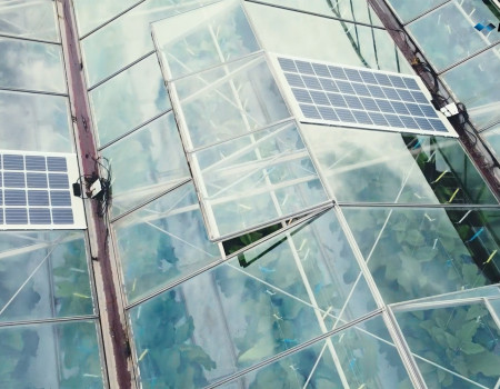 Viennese greenhouses equipped with DAS Energy PV modules Viennese greenhouses equipped with DAS Energy PV modules